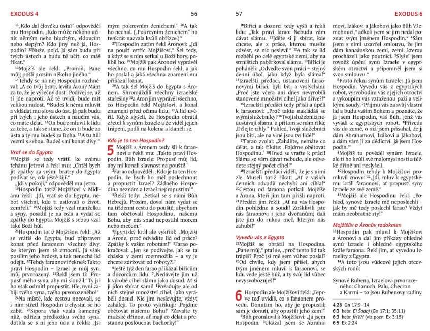 Kniha - Bible 21 - kapesní formát