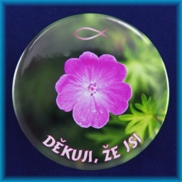 Placka magnet 75mm - Děkuji, že jsi