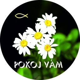 Placka 75mm - POKOJ VÁM - kytka